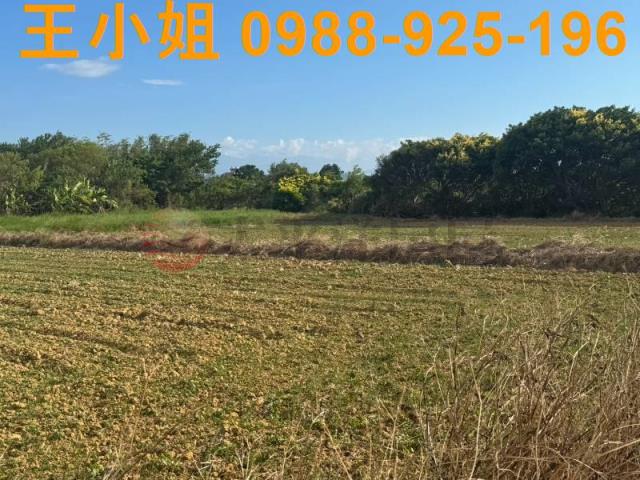 桃園楊梅農地-2