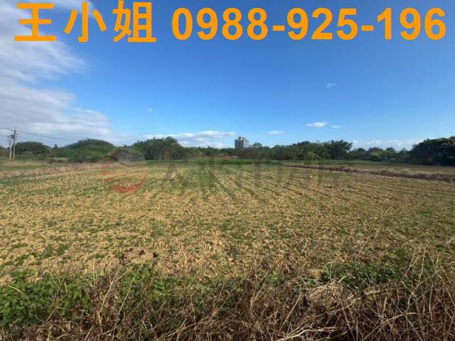 桃園楊梅農地-3