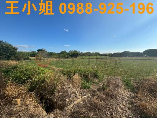 桃園楊梅農地-5