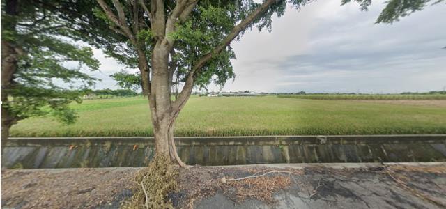 雲林東勢鄉法拍農地-1