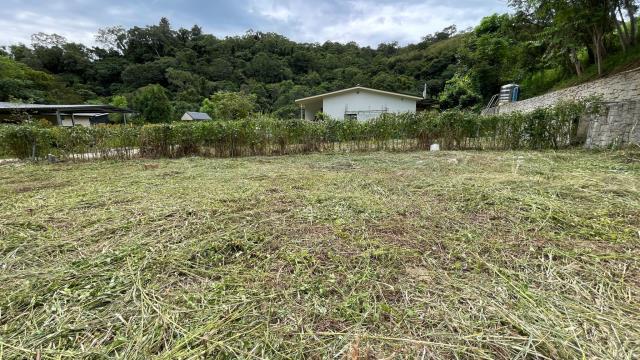 新竹寶山農地-1