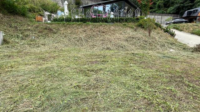 新竹寶山農地-3