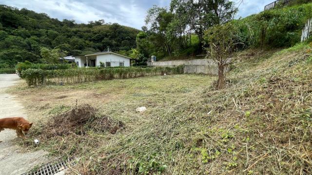 新竹寶山農地-7