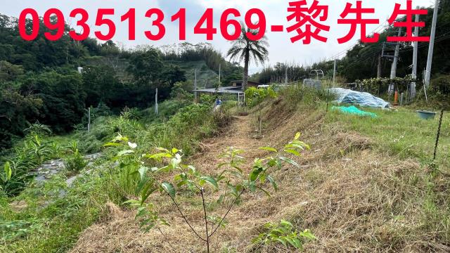 新竹寶山農地-1