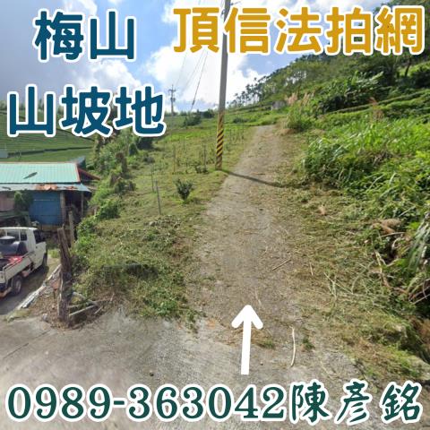 嘉義梅山農地法拍-1