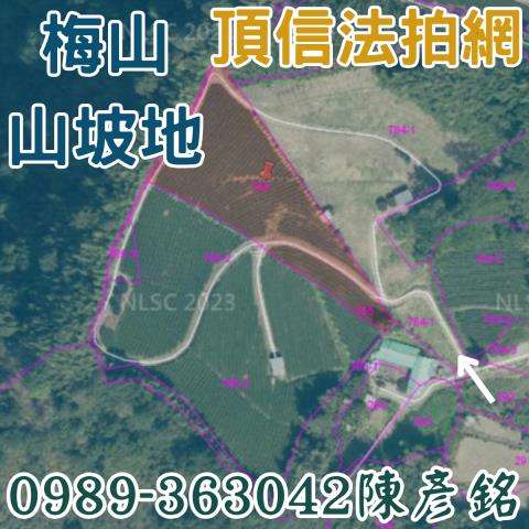 嘉義梅山農地法拍-2