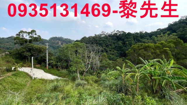 新竹寶山農地-12