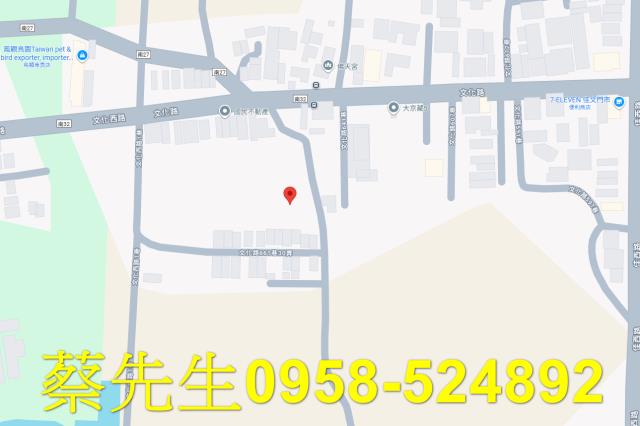 佳里農地法拍-8