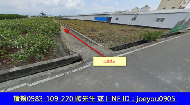 溪州法拍農地-5