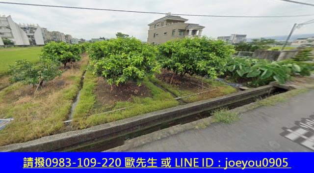 南投市農地拍賣-11