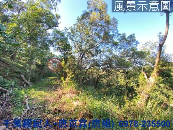 北區山坡地-2