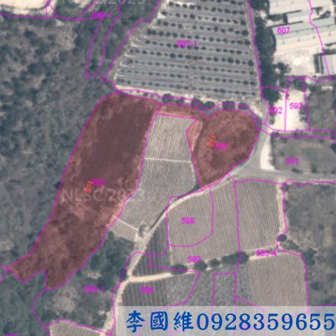 台南農地法拍-3