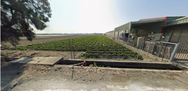 雲林崙背農地法拍-1