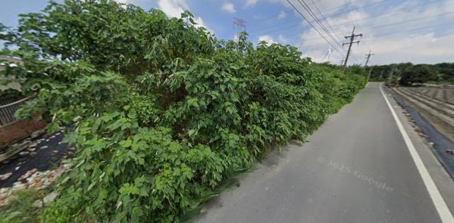 雲林崙背拍賣農地-4