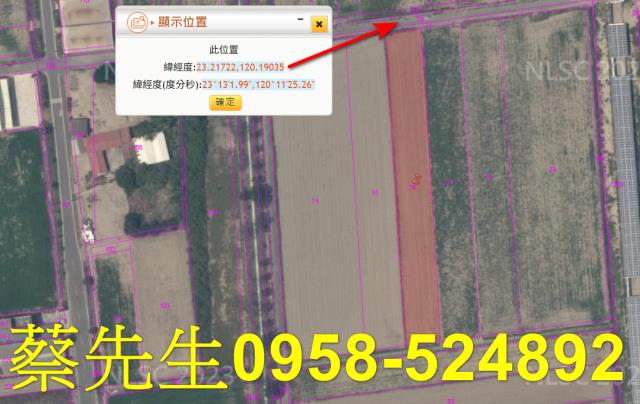 台南農地法拍-3