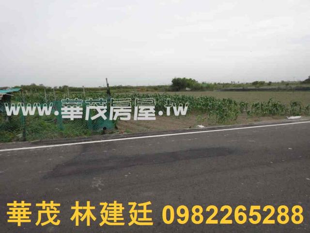 台南將軍農地法拍-10