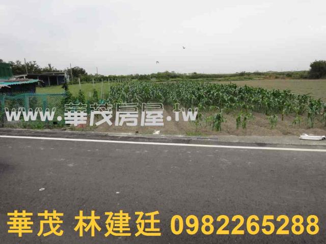 台南將軍農地法拍-11