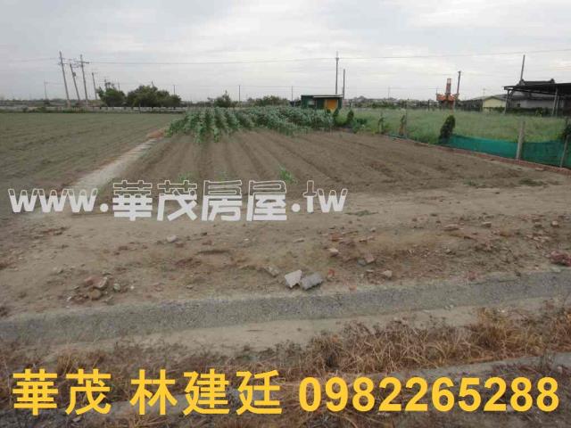 台南將軍農地法拍-4