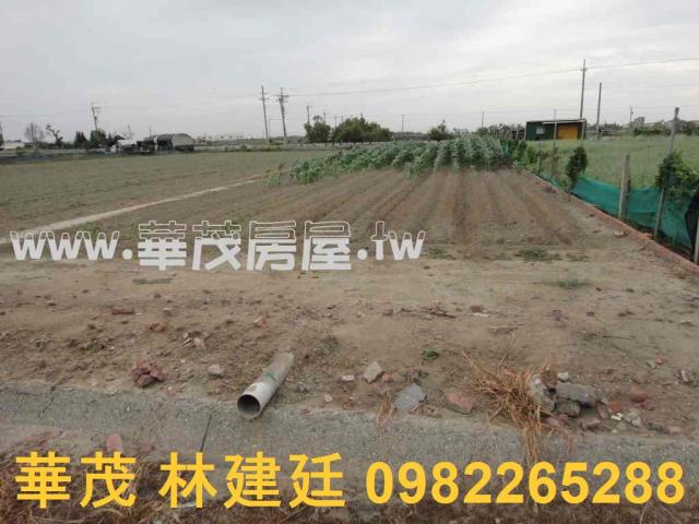 台南將軍農地法拍-6