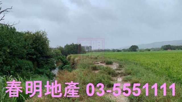 新竹芎林農地-1