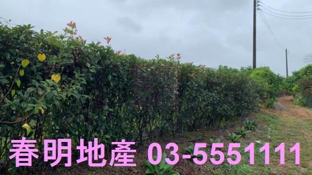 新竹芎林農地-2