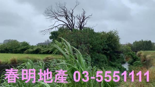 新竹芎林農地-3