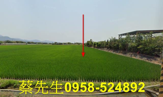 白河法拍農地-9