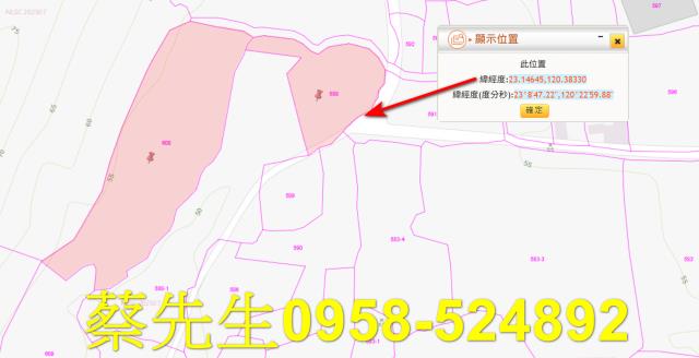 大內農地法拍-10