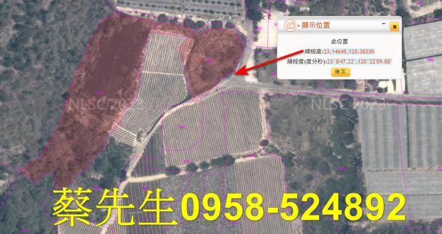 大內農地法拍-11