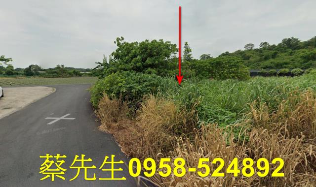 大內農地法拍-14