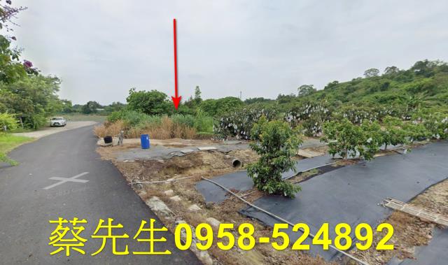 大內農地法拍-15