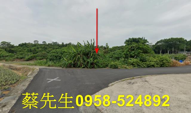 大內農地法拍-1