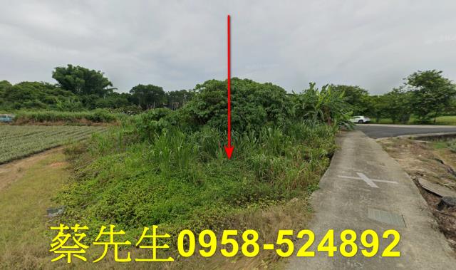 大內農地法拍-4