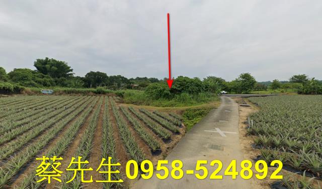 大內農地法拍-5