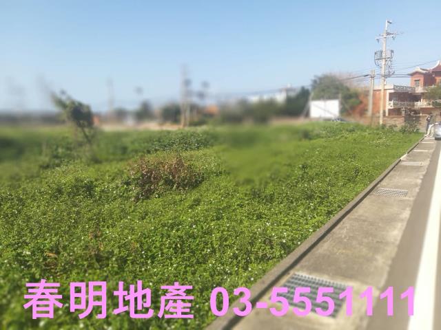 新豐農地-1