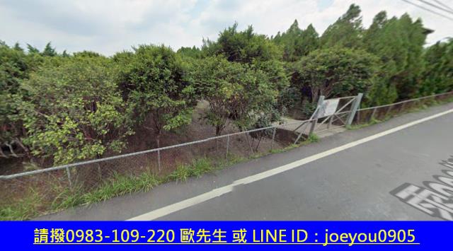 古坑農地拍賣-10