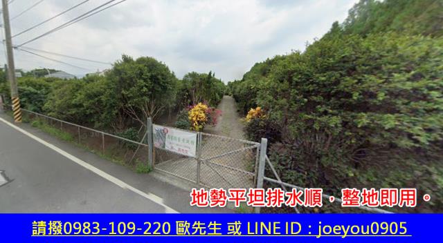 古坑農地拍賣-3