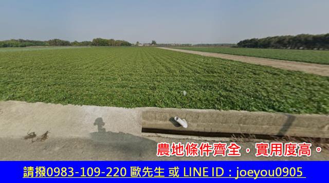 雲林法拍農地-3