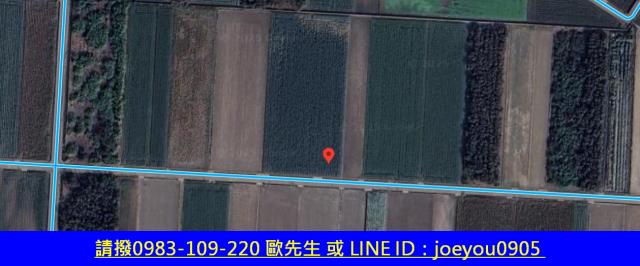 雲林法拍農地-9