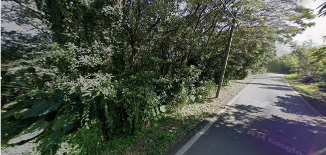 新北淡水農地法拍-5