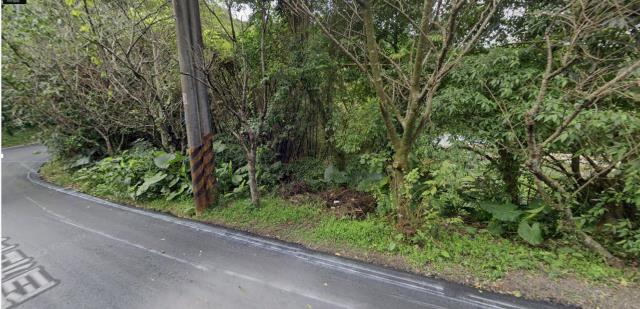 南港法拍梯田-9