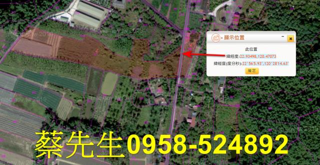 內門拍賣農地-11