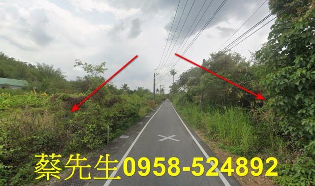 內門拍賣農地-14