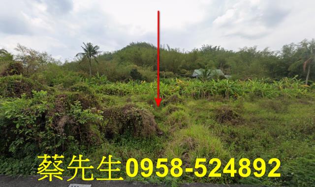 內門拍賣農地-1