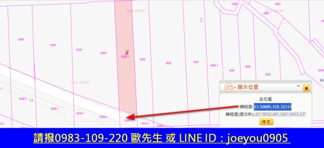 嘉義法拍農地-13