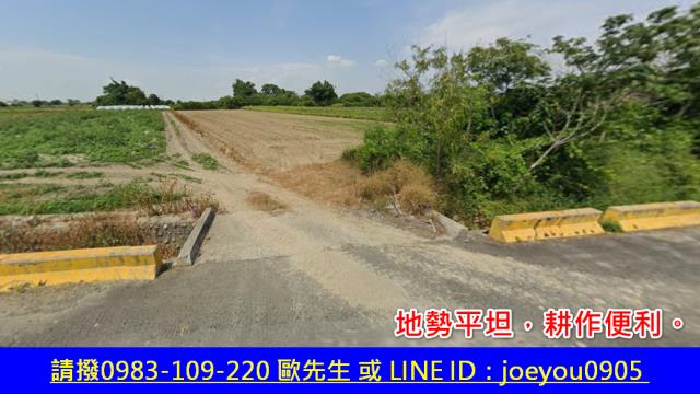 嘉義法拍農地-3