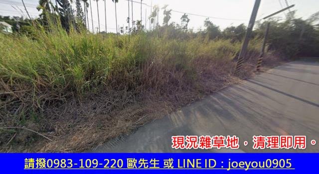 嘉義農地法拍-3