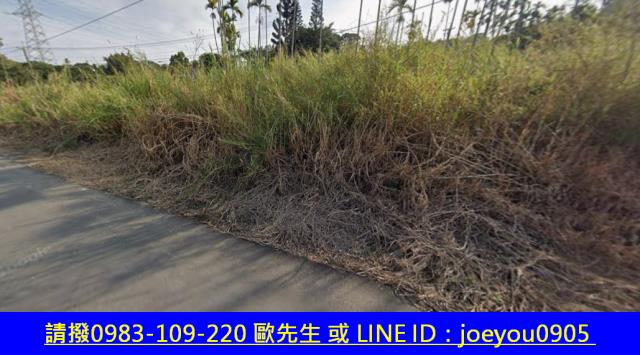 嘉義農地法拍-4