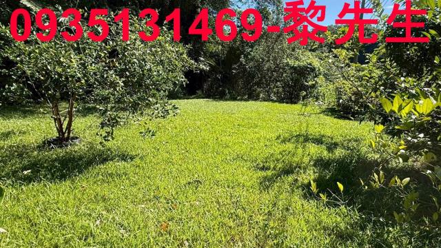 新竹關西農地-5