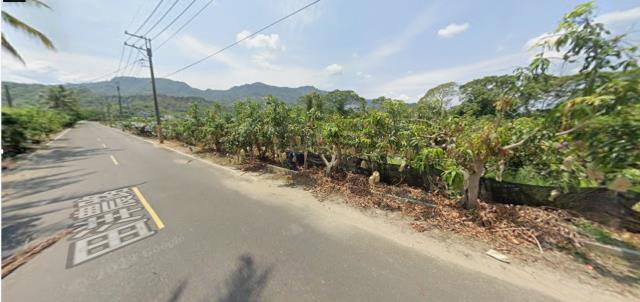 台南南化法拍農地-4